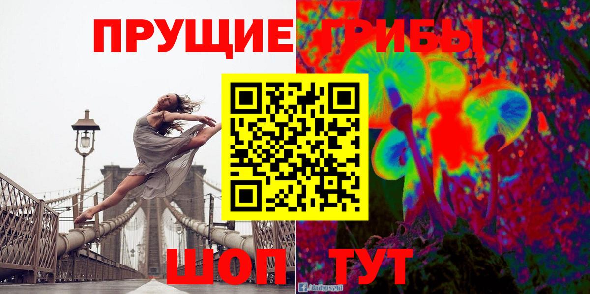 Семёнов  Галлюциногенные грибы прущие грибы  Вход с VPN  Галлюциногенные грибы Psilocybe 